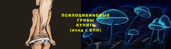 стафф Армянск