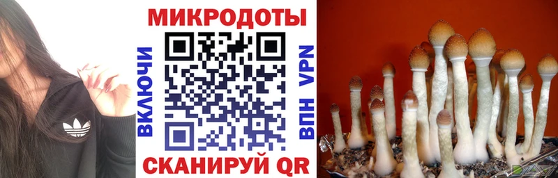 Галлюциногенные грибы мухоморы  блэк спрут   Белоозёрский  где продают  